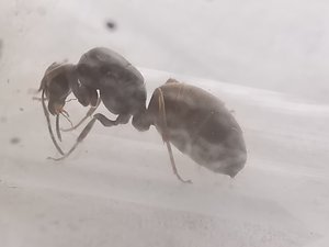 IMG_20190815_105430.jpg
