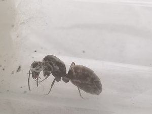 IMG_20190815_105234.jpg