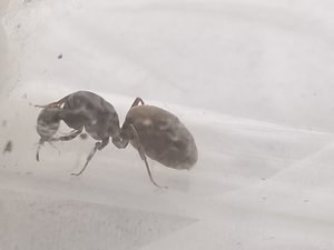 IMG_20190815_105218.jpg
