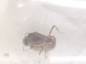 IMG_20190815_105349.jpg