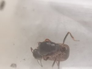 IMG_20190815_105336.jpg