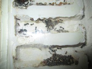 IMG_0591.jpg