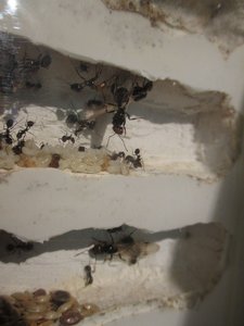 IMG_0645.jpg