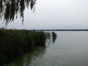Blick auf den Kis-Balaton
