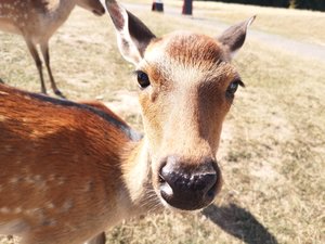 IMG_20190903_152747.jpg