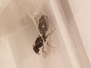 20190908_202325.jpg