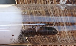 DSC_5851small.jpg
