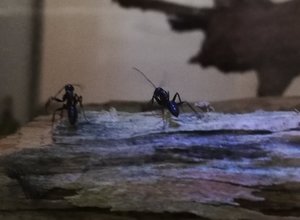 w2.jpg