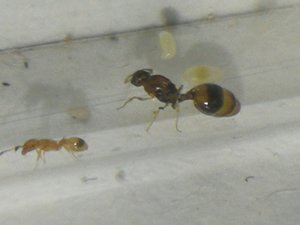 IMG_20190912_143058.jpg