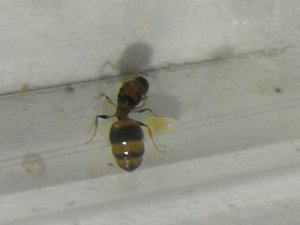 IMG_20190912_143102.jpg