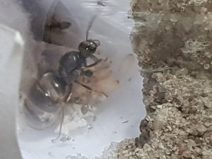 20190919_143659.jpg
