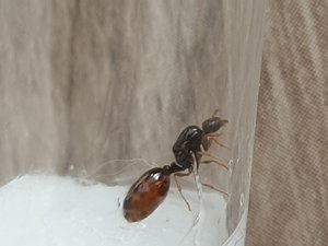 20191013_132940.jpg
