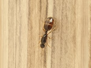 20191013_132503.jpg