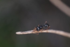 08248937-B6F8-44CF-8238-6DA113D4155F.jpeg