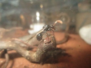 IMG_0792.jpg