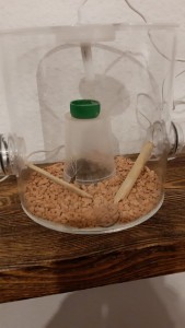 Pilzkammer.jpg