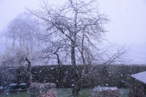 Wintereinbrauch.jpg