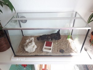 15888638788042928930649265050874.jpg (4.07 MiB) 6519 mal betrachtet Hier nochmal das Setup.