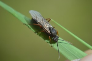 DSC_0841.JPG