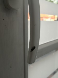 IMG_20200607_071800.jpg