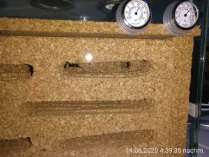 Neues Nest Details.jpg