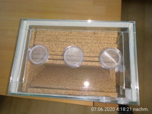 Neues Nest Schichtaufbau.jpg