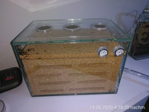Neues Nest von oben.jpg