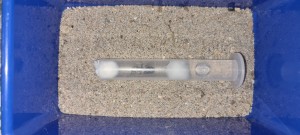 20200618_083044.jpg