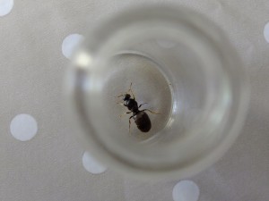 DSCF6773.JPG