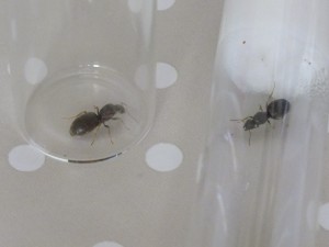 DSCF6800.JPG