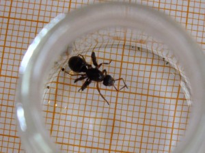 DSCF6807.JPG (3.34 MiB) 1811 mal betrachtet DSCF6807.JPG