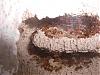100_0763.JPG