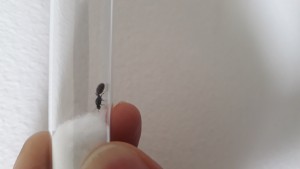 20200625_160734.jpg