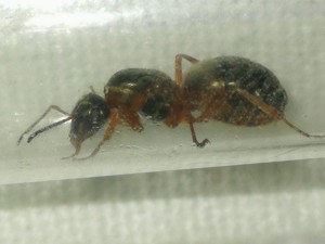 IMG_20200707_085004.jpg (1.29 MiB) 1639 mal betrachtet IMG_20200707_085004.jpg