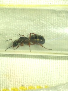 IMG_20200707_085522.jpg (2.11 MiB) 1639 mal betrachtet IMG_20200707_085522.jpg