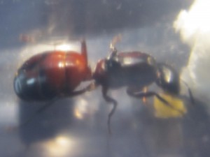 IMG_1890.jpg