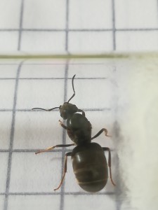 IMG_20200715_135846.jpg