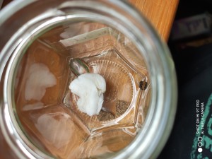 IMG_20200719_134744.jpg