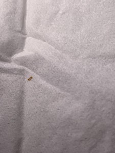 5E3ECB64-B77C-4B39-BEF8-37ABC5F90750.jpeg