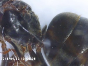 PICT0007.jpg