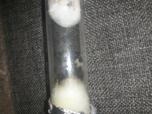 20200815_235524.jpg