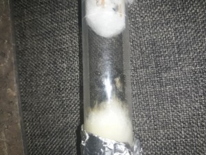 20200815_235520.jpg