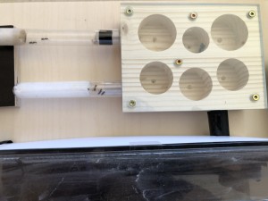 IMG_9036.jpeg