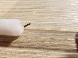 20200904_195608.jpg (3.74 MiB) 2419 mal betrachtet Unbekannt 2