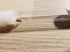 20200904_195803.jpg (4.12 MiB) 2419 mal betrachtet Unbekannt 1