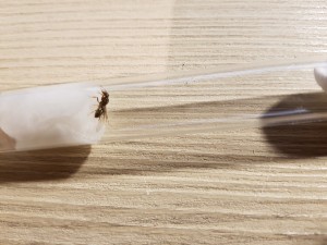 20200904_195809.jpg (4.13 MiB) 2419 mal betrachtet Unbekannt 1