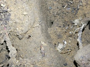 IMG_20200924_182654.jpg