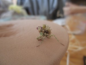 IMG_1124.JPG