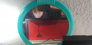 20201003_130107.jpg