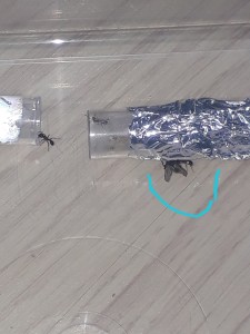 Beläuchtung und Foto ist eher....